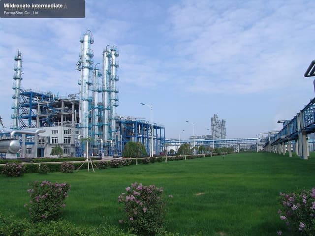 Mildronate intermediate