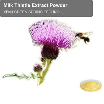 Milk Thistle Extract Powder