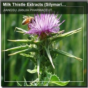 Milk Thistle Extracts (Silymarin)