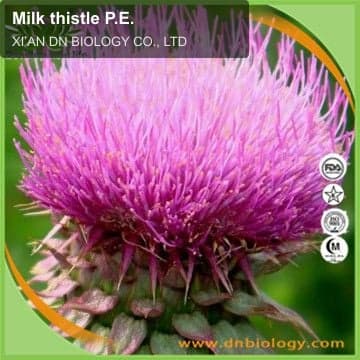 Milk thistle P.E.