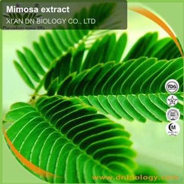 Mimosa extract