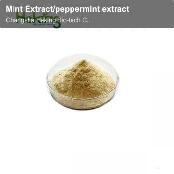 Mint Extract/peppermint extract