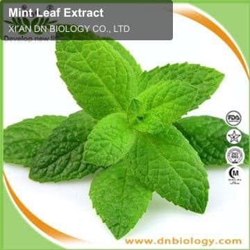 Mint Leaf Extract