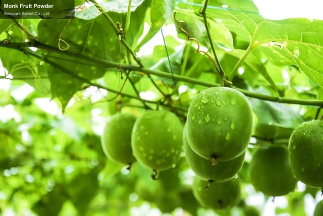 Monk Fruit Powder