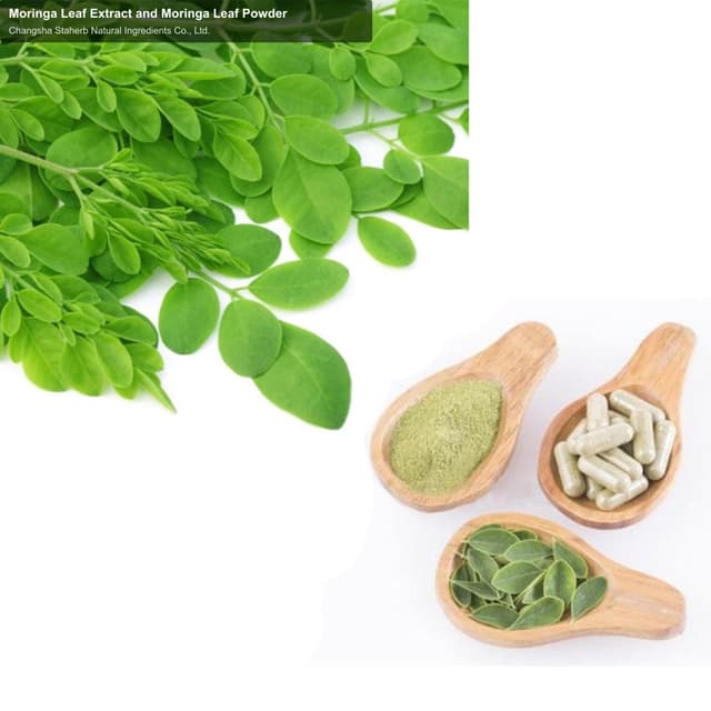 Moringa Leaf Extract and Moringa Leaf Powder