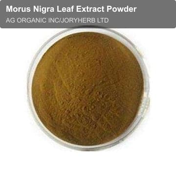 Morus Nigra Leaf Extract Powder