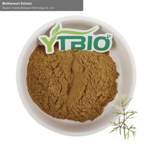 Motherwort Extract
