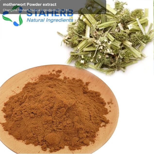 motherwort Powder extract