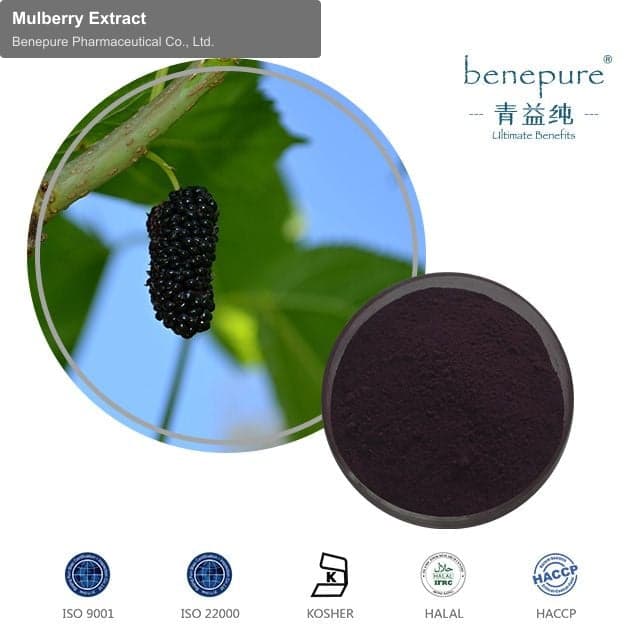 Mulberry Extract
