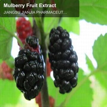 Mulberry Fruit Extract