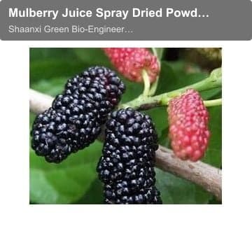 Mulberry Juice Spray Dried Powder