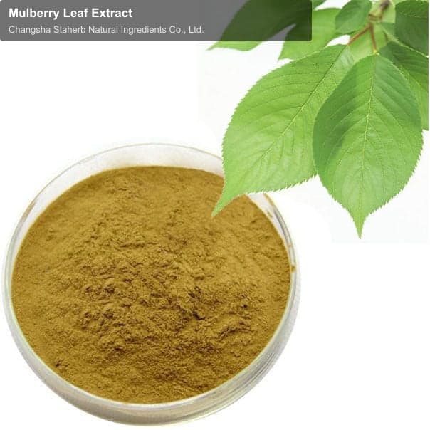 Mulberry Leaf Extract