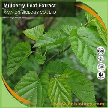 Mulberry Leaf Extract