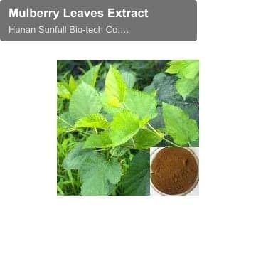 Mulberry Leaves Extract