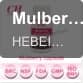 Mulberry softgel