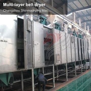 Multi-layer belt dryer