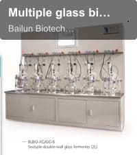Multiple glass bioreactor (6-12-uple,off-site sterilization)