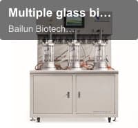 Multiple glass bioreactor (triple ,quadruple and quintuple ,off-site sterilization