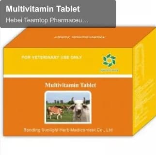 Multivitamin Tablet