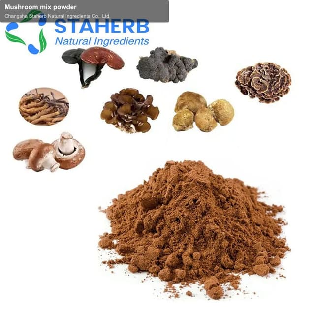 Mushroom mix powder