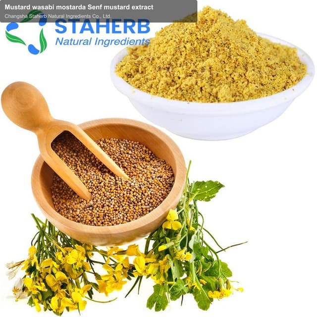 Mustard wasabi mostarda Senf mustard extract