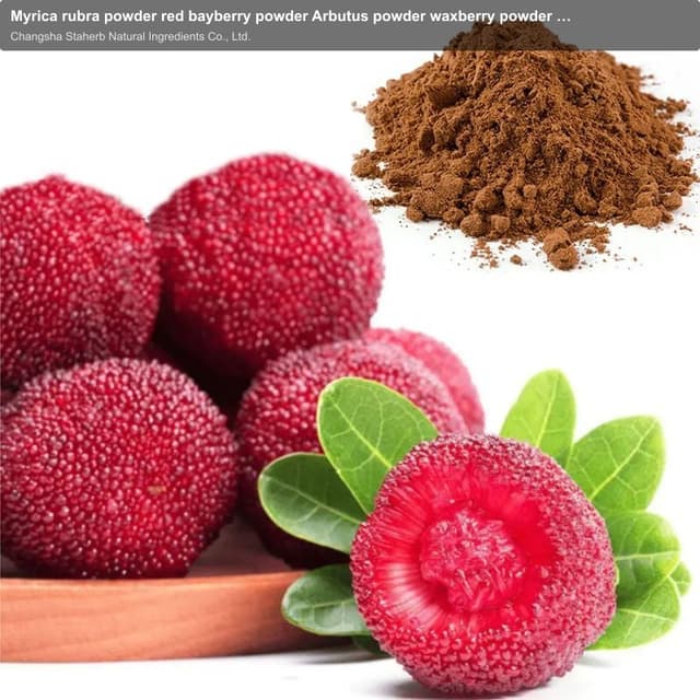 Myrica rubra powder red bayberry powder Arbutus powder waxberry powder myrica rubra powder