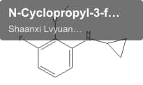 N-Cyclopropyl-3-fluoro-2-methoxyaniline