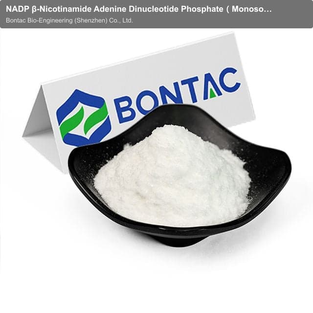NADP β-Nicotinamide Adenine Dinucleotide Phosphate（Monosodium salt）