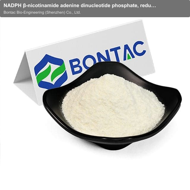NADPH β-nicotinamide adenine dinucleotide phosphate, reduced form, (Reduced Coenzyme-II)