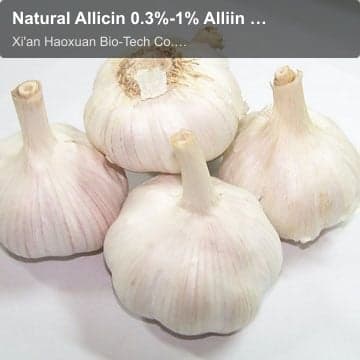 Natural Allicin 0.3%-1% Alliin 5% Garlic Extract
