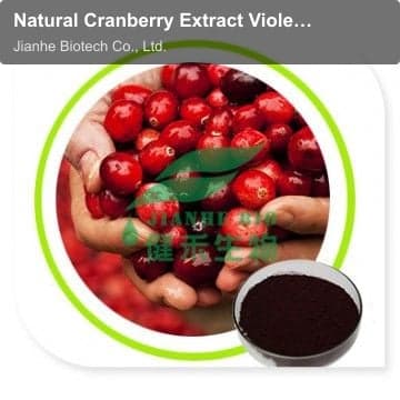 Natural Cranberry Extract Violet-red Powder