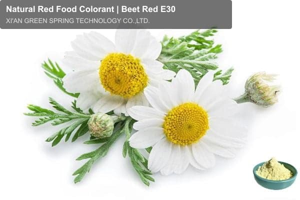 Natural Red Food Colorant | Beet Red E30