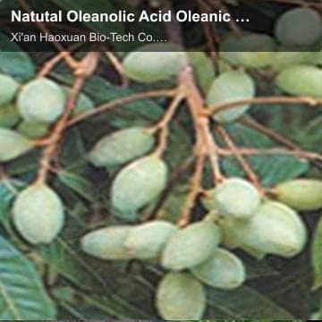 Natutal Oleanolic Acid Oleanic acid