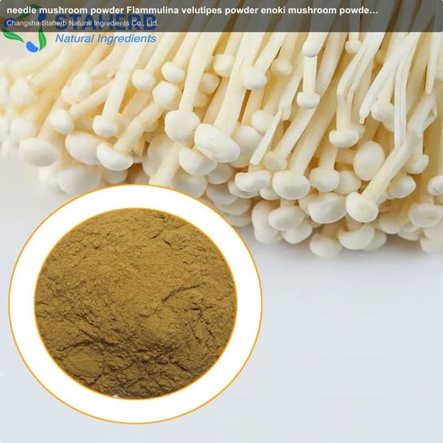 needle mushroom powder Flammulina velutipes powder enoki mushroom powder flammulina velutipes powder