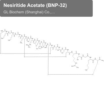Nesiritide Acetate (BNP-32)