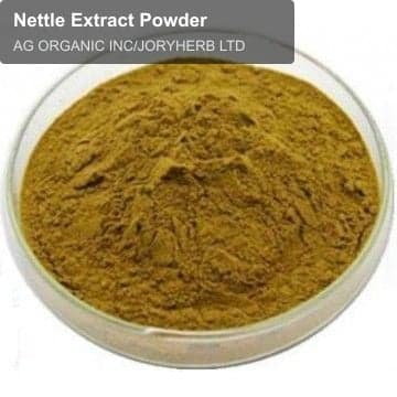 Nettle Extract Powder
