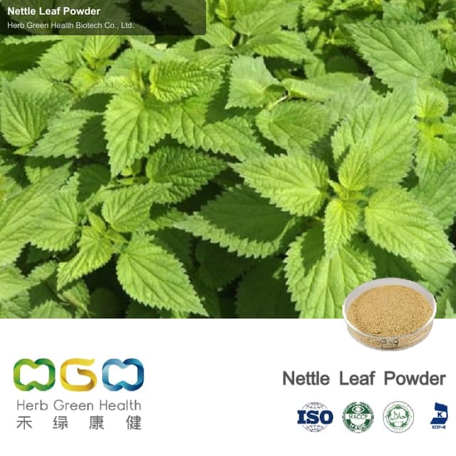 Nettle Leaf Powder