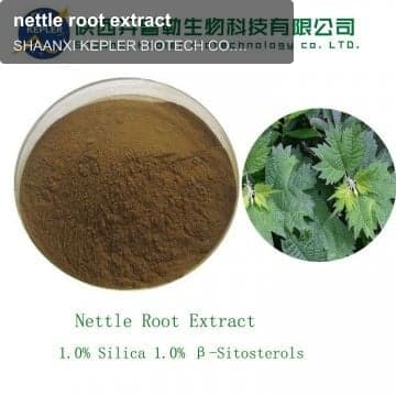 nettle root extract