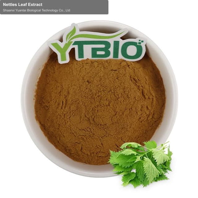 Nettles Leaf Extract