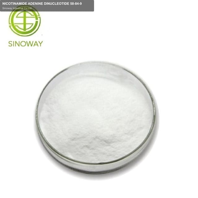 NICOTINAMIDE ADENINE DINUCLEOTIDE 58-84-9