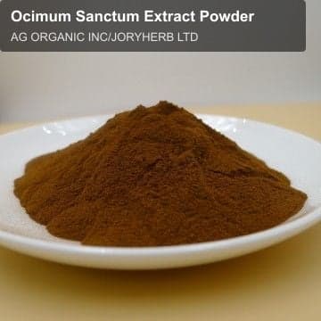 Ocimum Sanctum Extract Powder