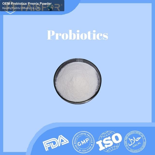 OEM Probiotics Premix Powder