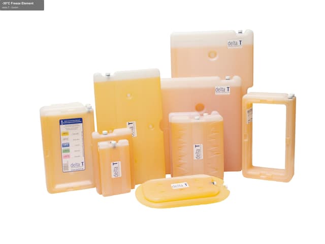 delta T - GmbH offer service "-30°C Freeze Element"