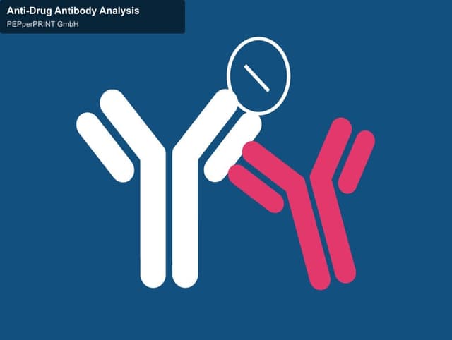 PEPperPRINT GmbH offer service "Anti-Drug Antibody Analysis"