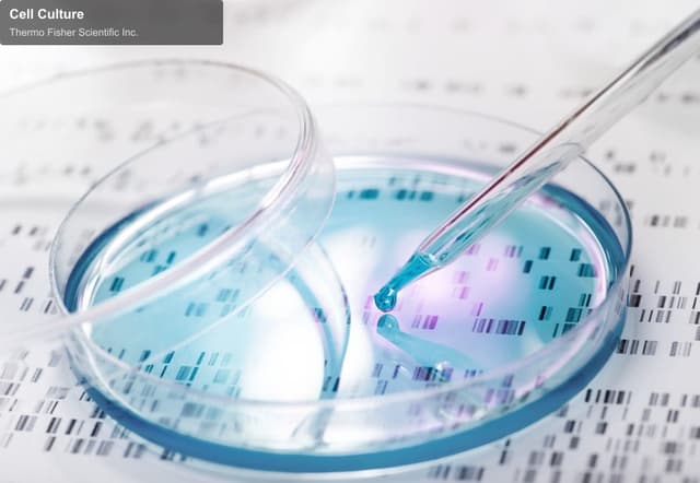 Thermo Fisher Scientific Inc. offer service "Cell Culture"