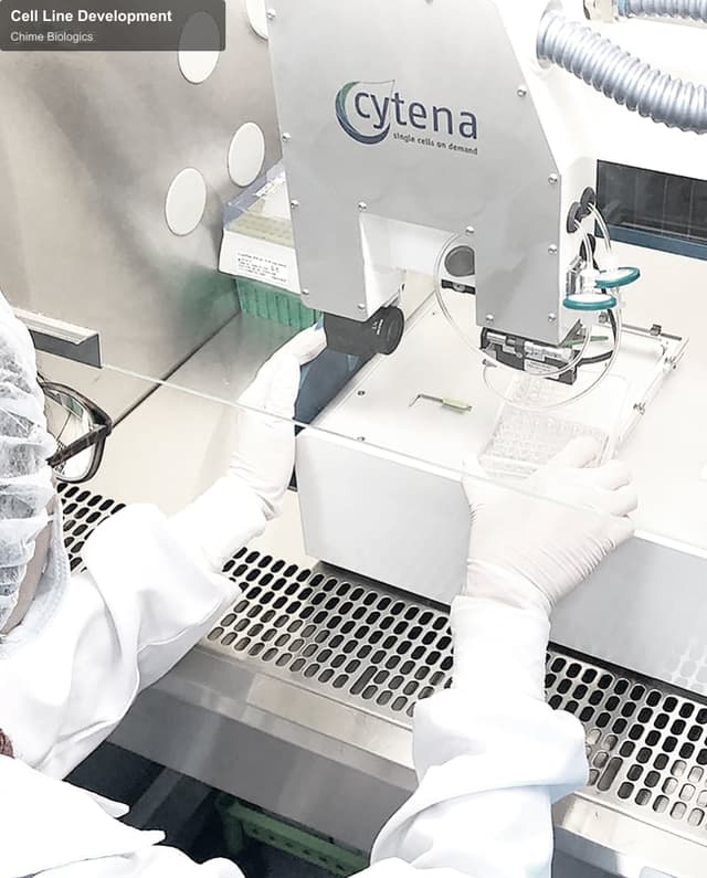 Chime Biologics offer service "Cell Line Development"