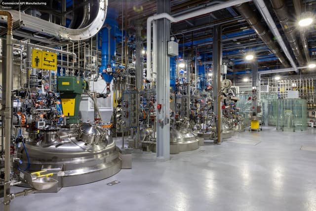 Cambrex offer service "Commercial API Manufacturing"