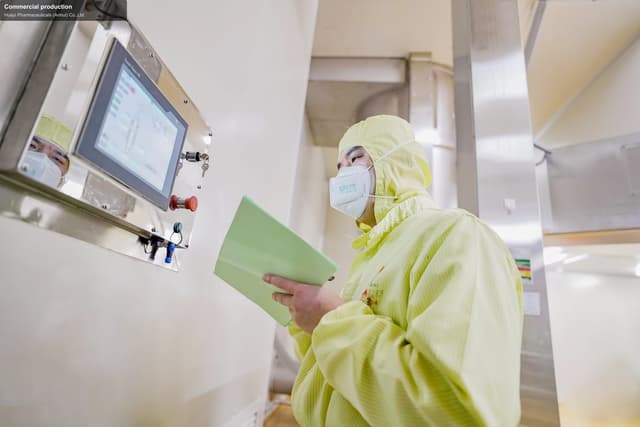 Huayi Pharmaceuticals (Anhui) Co.,Ltd offer service "Commercial production"