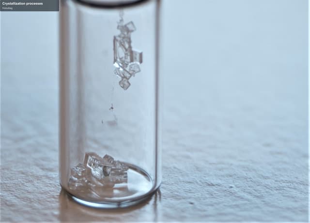 Holodiag offer service "Crystallization processes"