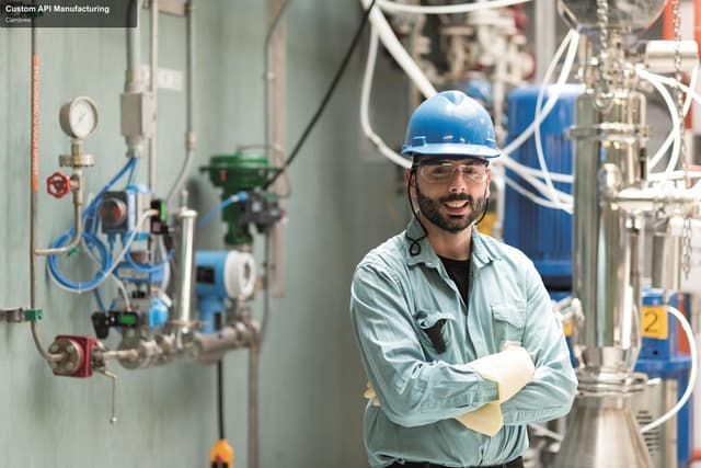 Cambrex offer service "Custom API Manufacturing"